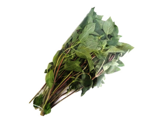 FEUILLE DE BASILIC