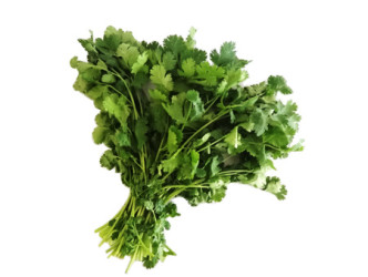 CORIANDRE FRAICHE 