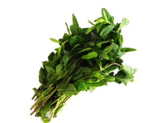 FEUILLE DE MENTHE 